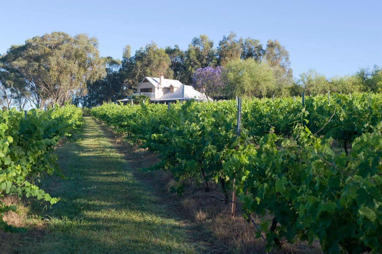 Spicers Vineyards Estate Hotel Pokolbin Exterior foto